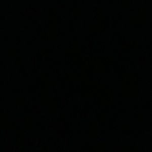 Meet your Posher, Tamar